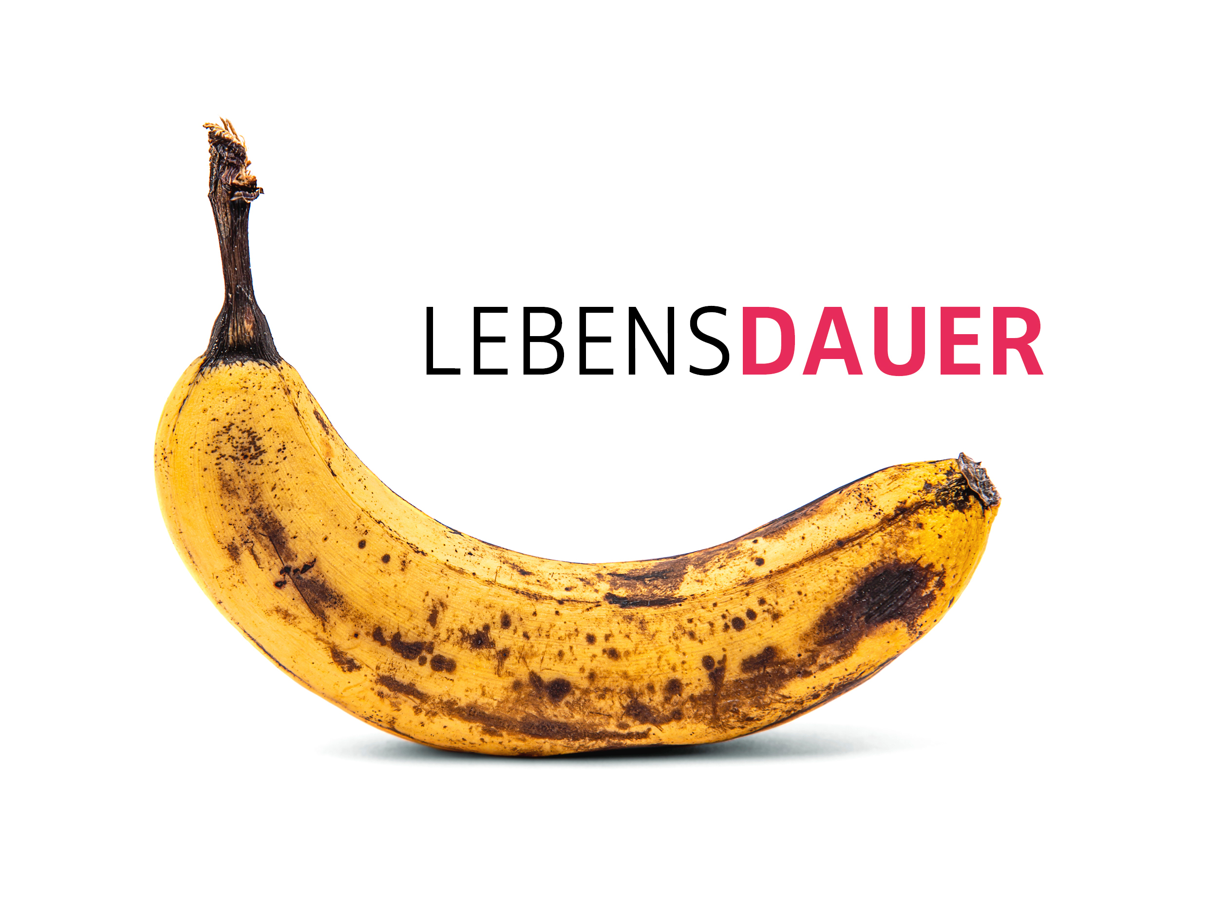 Und Magazin 2026 Titelbild Banane